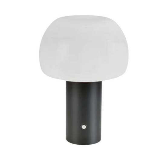 Oval Lamp